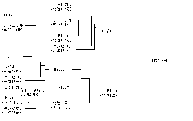 北陸IL4号