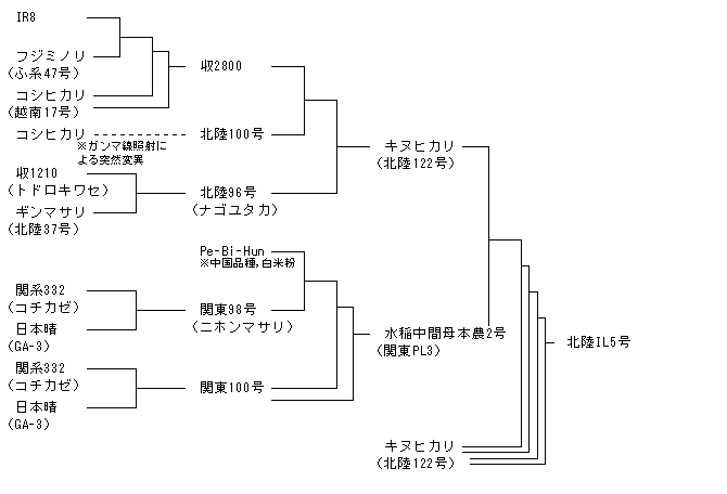 北陸IL5号