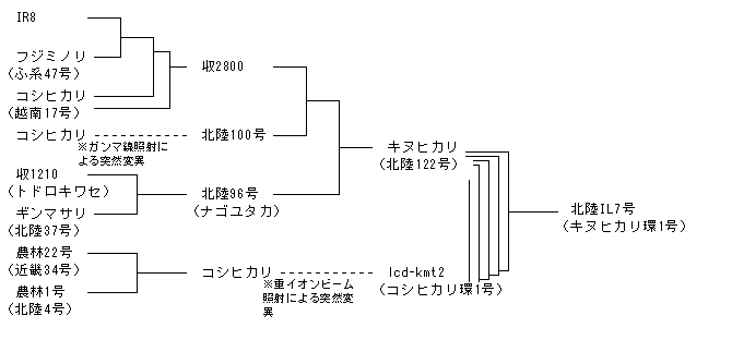 北陸IL7号