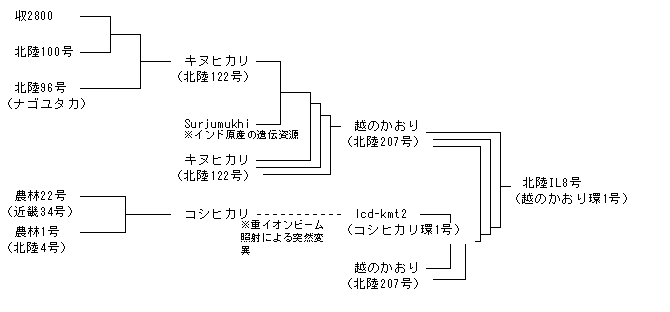 北陸IL8号