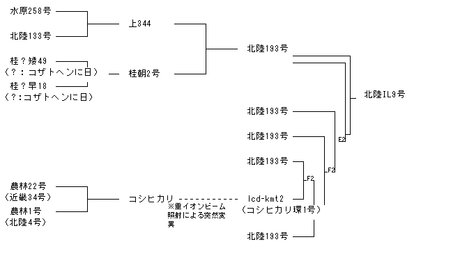 北陸IL9号