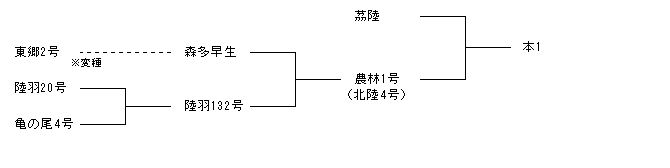 本1