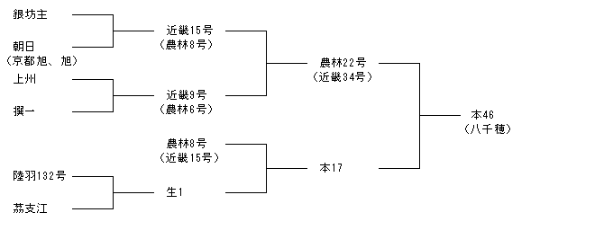 本46