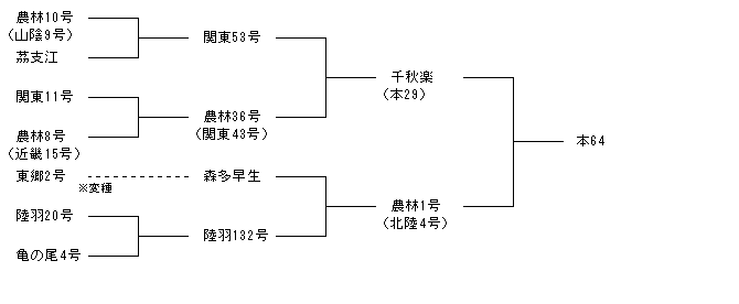 本64