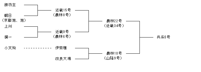 兵系5号