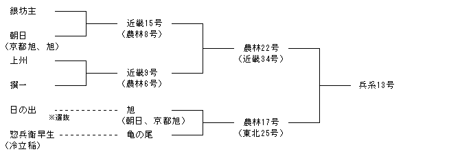 兵系13号
