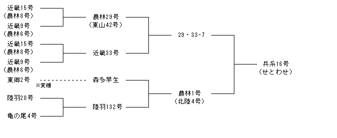 兵系16号