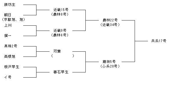 兵系17号