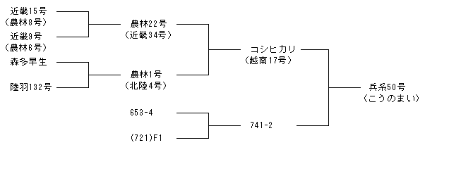 兵系50号