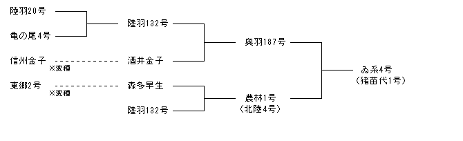 ゐ系4号