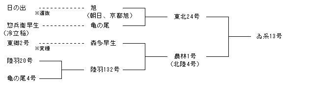 ゐ系13号