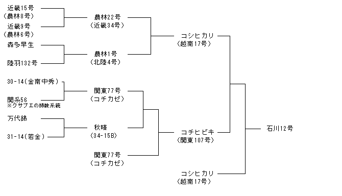 石川12号
