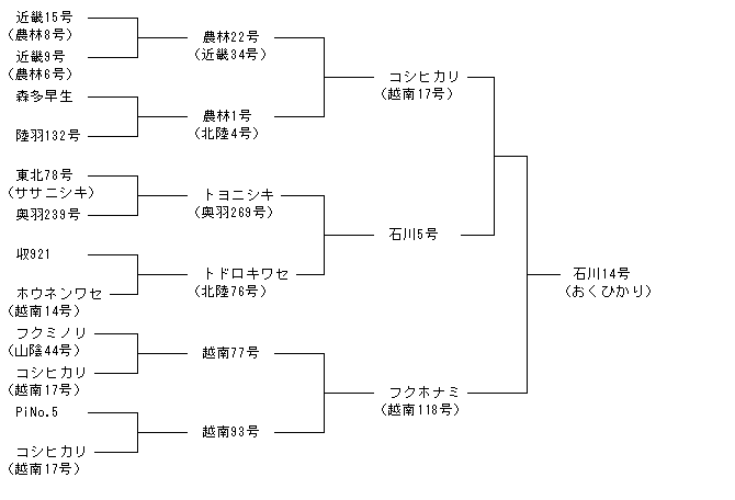 石川14号