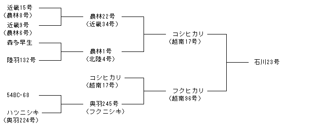 石川23号