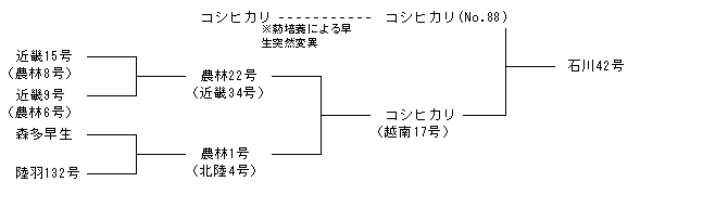 石川42号