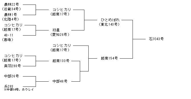 石川43号