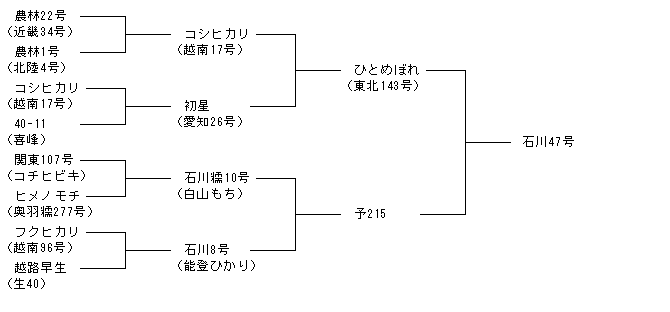 石川47号