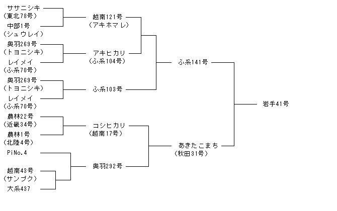 岩手41号