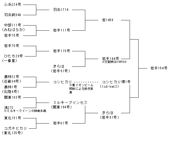 岩手154号