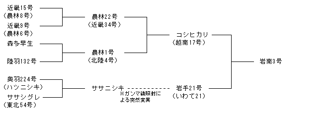 岩南3号