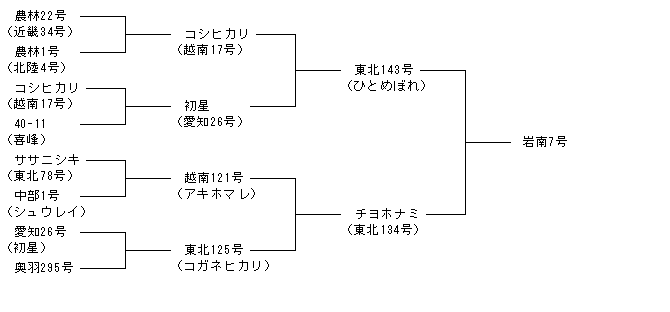 岩南7号
