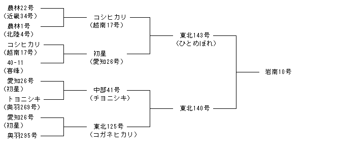 岩南10号