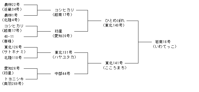岩南16号