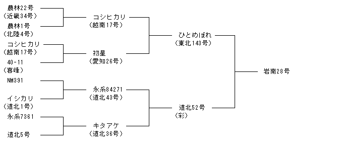 岩南28号