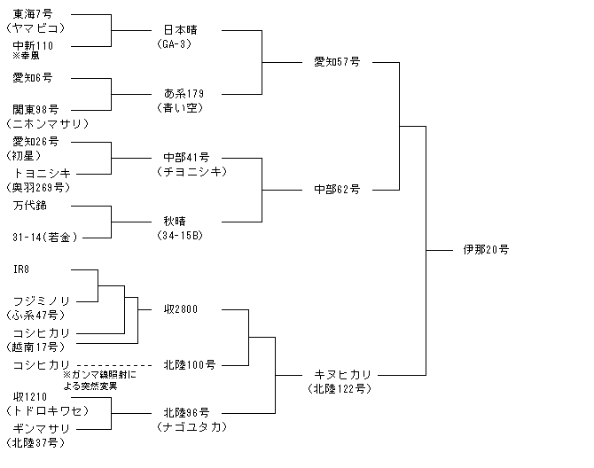 伊那20号