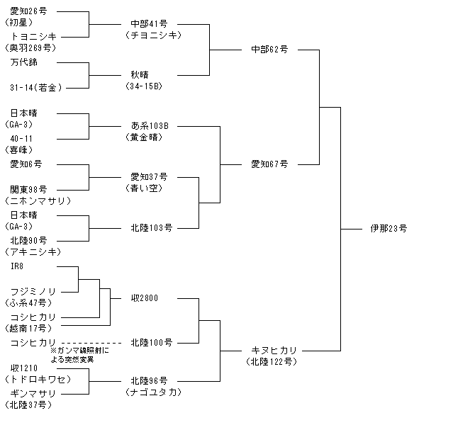伊那23号