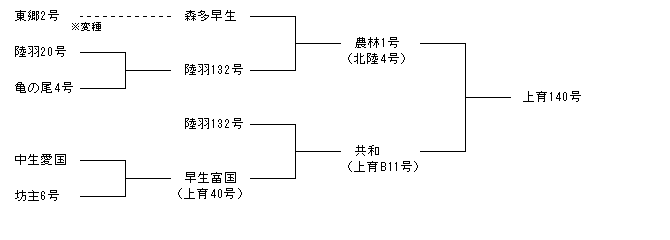 上育140号