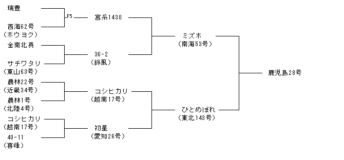 鹿児島28号