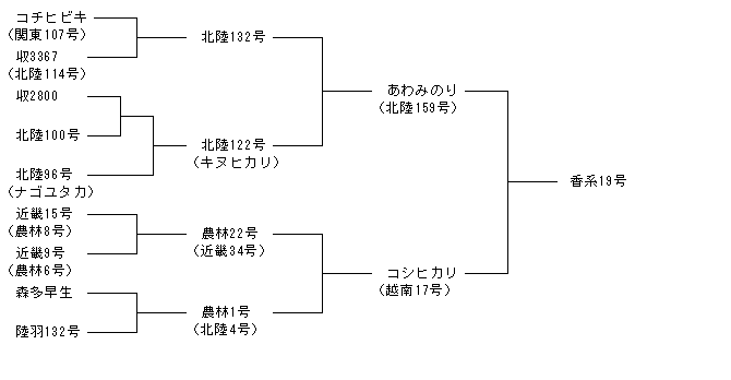 香系19号