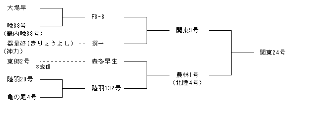 関東24号