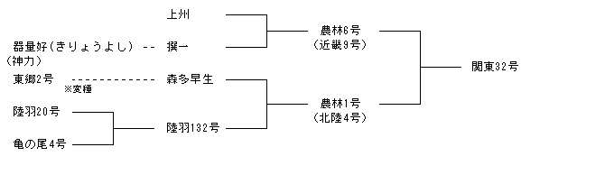 関東32号
