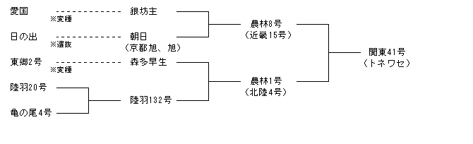 関東41号