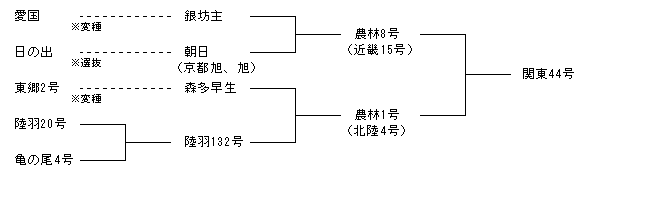 関東44号