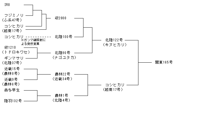 関東165号