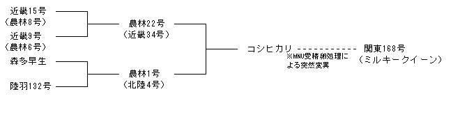 関東168号