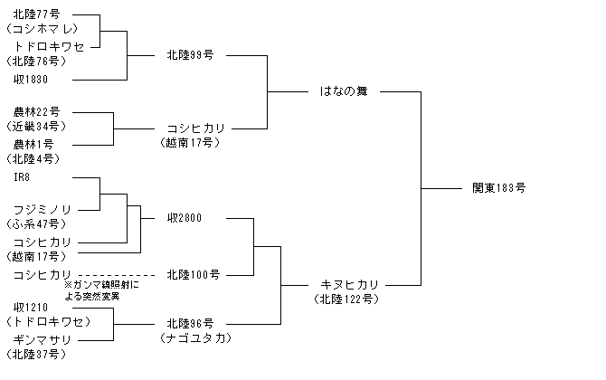 関東183号