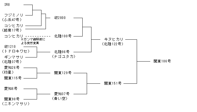 関東186号