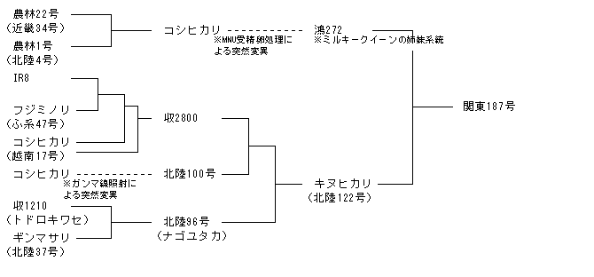 関東187号