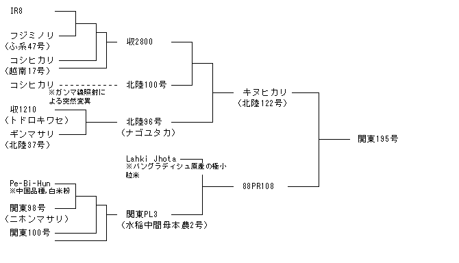 関東195号