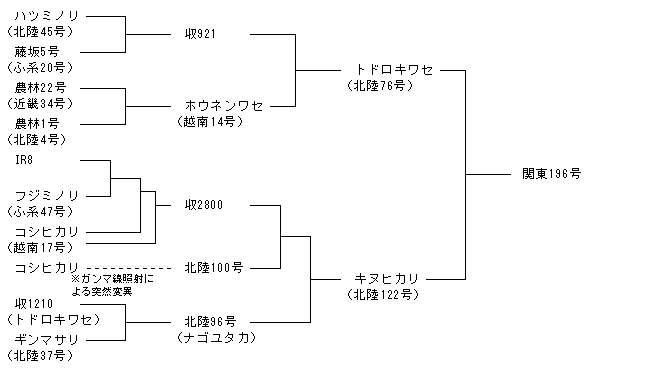 関東196号