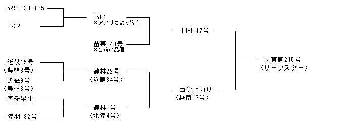 関東飼215号