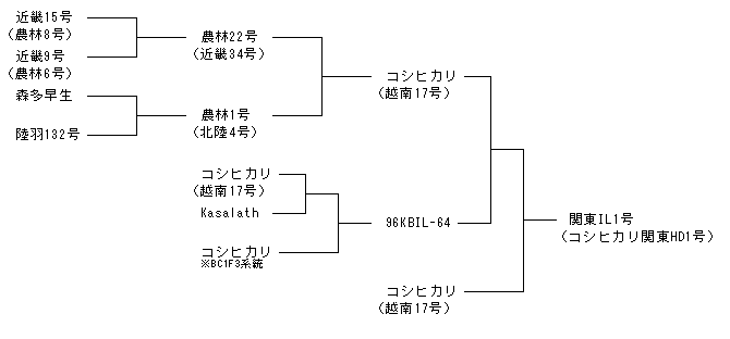 関東IL1号