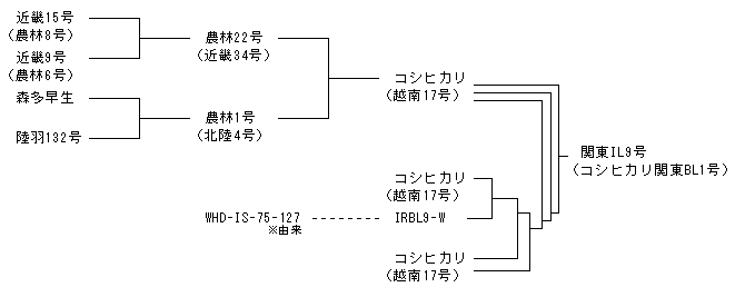 関東IL9号