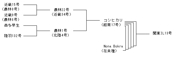 関東IL13号