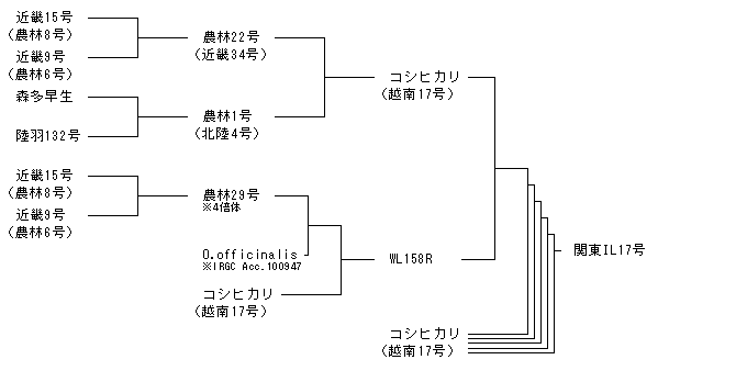 関東IL17号
