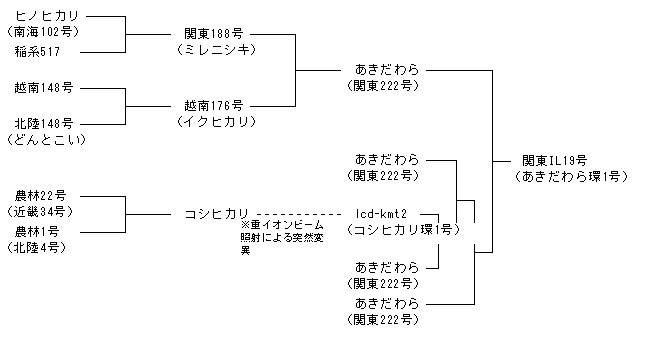 関東IL19号
